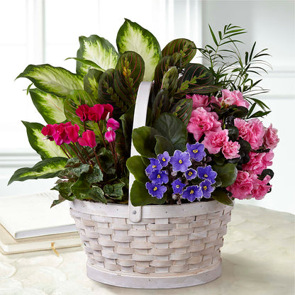 Peaceful Garden Planter – SHINKLES' FLOWER SHOP & GREENHOUSE, Temperance MI