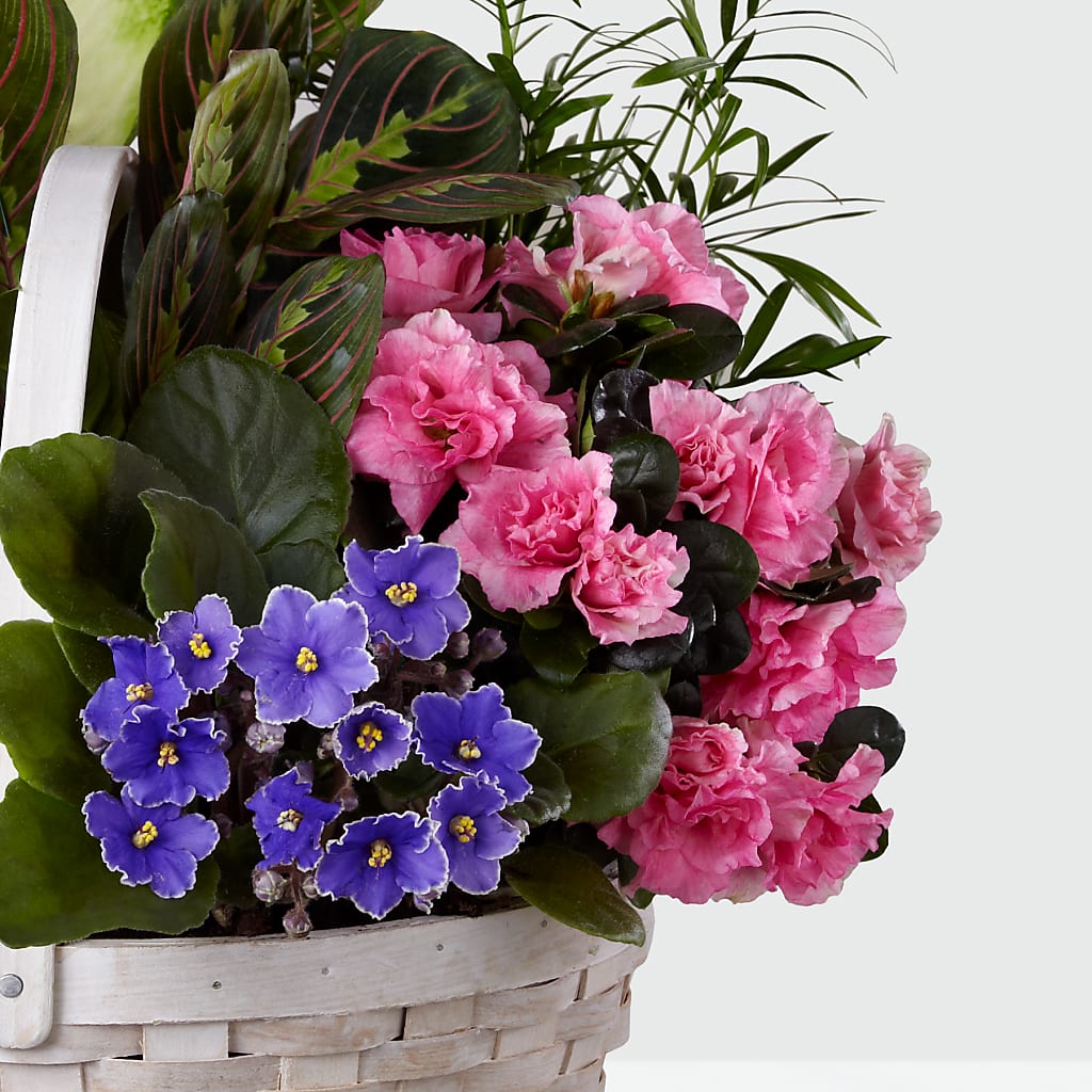 Peaceful Garden Planter – SHINKLES' FLOWER SHOP & GREENHOUSE, Temperance MI