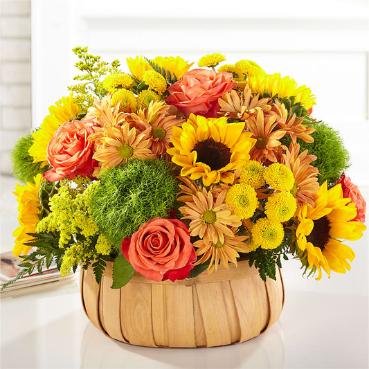 Harvest Sunflower Basket – SHINKLES' FLOWER SHOP & GREENHOUSE, Temperance MI