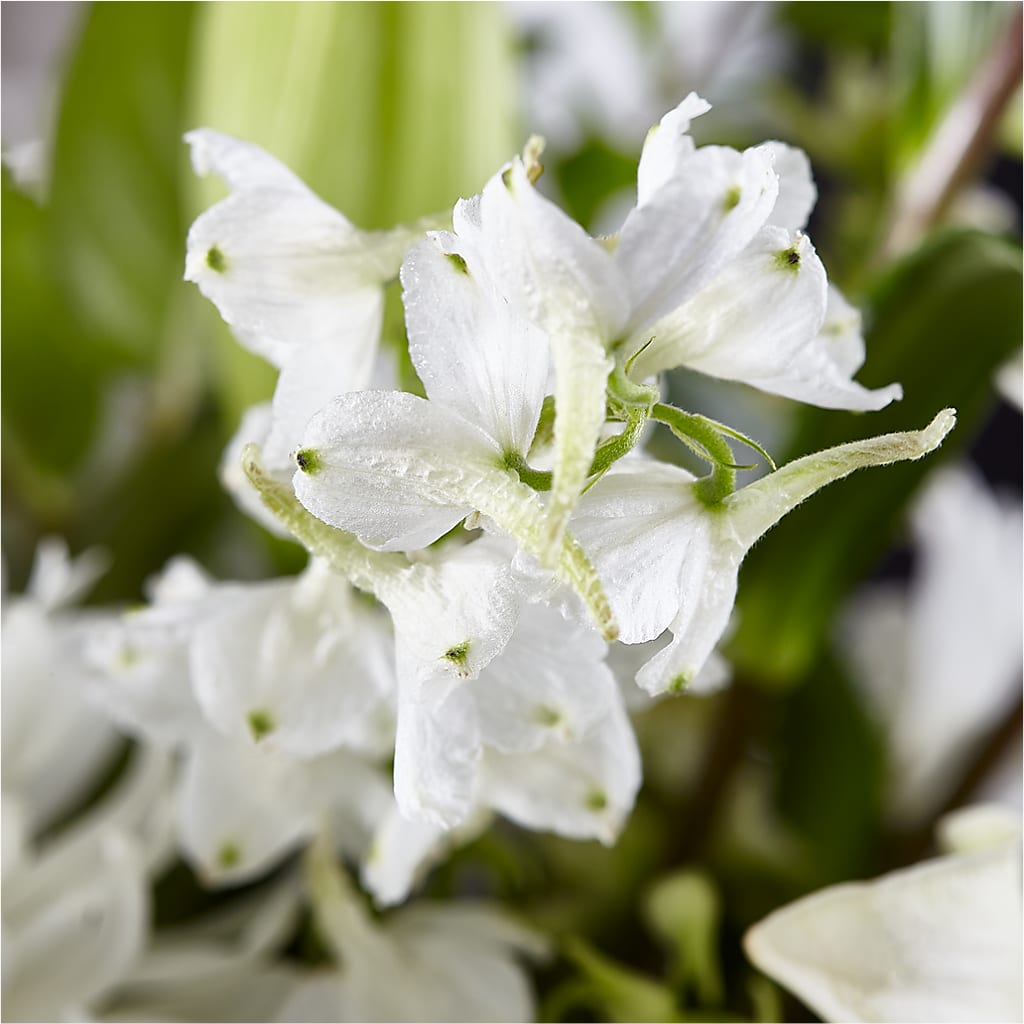 Classic Ivory – A Florist Original – SHINKLES' FLOWER SHOP & GREENHOUSE, Temperance MI