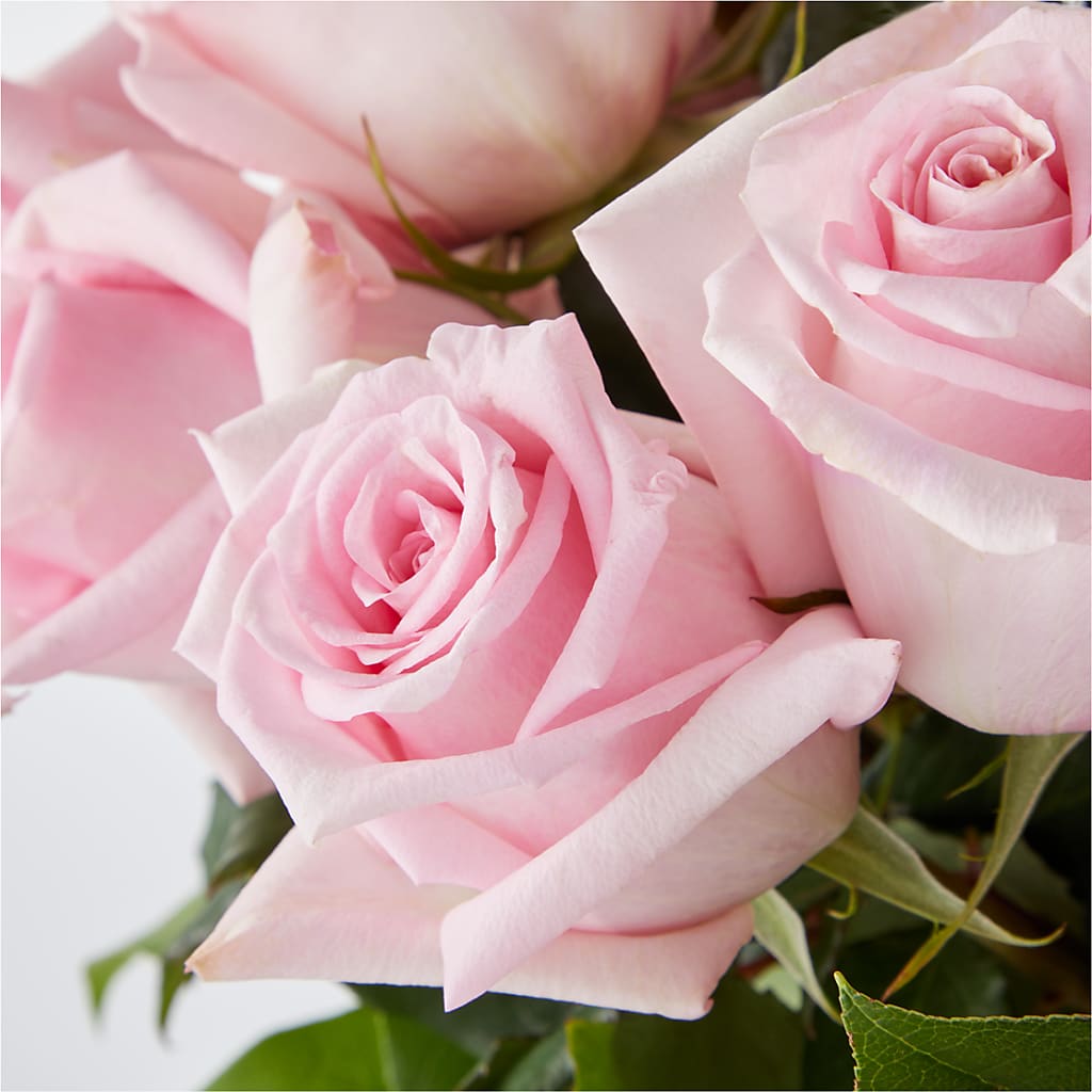Picture Perfect Pink Rose Bouquet – SHINKLES' FLOWER SHOP & GREENHOUSE, Temperance MI