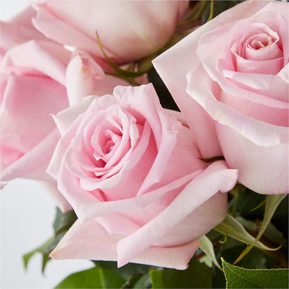 Picture Perfect Pink Rose Bouquet – SHINKLES' FLOWER SHOP & GREENHOUSE, Temperance MI