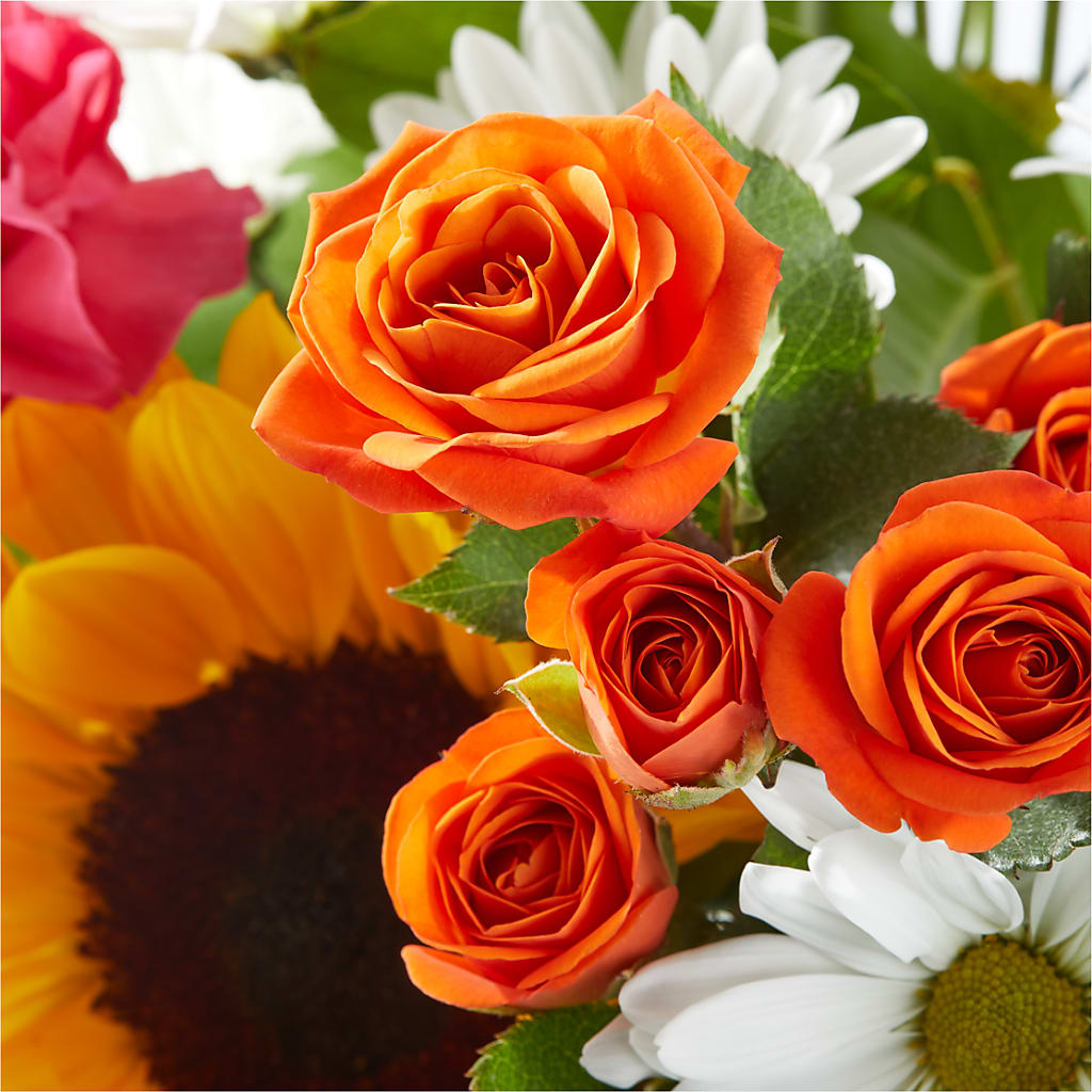 Sun-drenched Blooms Bouquet – SHINKLES' FLOWER SHOP & GREENHOUSE, Temperance MI