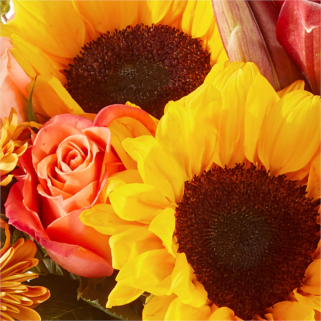 Acorn Lane Bouquet – SHINKLES' FLOWER SHOP & GREENHOUSE, Temperance MI