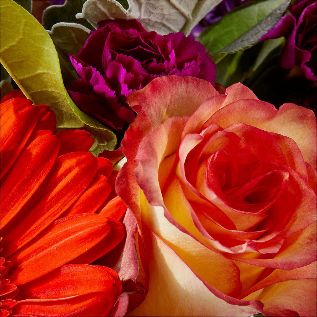 Sangria Bouquet – SHINKLES' FLOWER SHOP & GREENHOUSE, Temperance MI