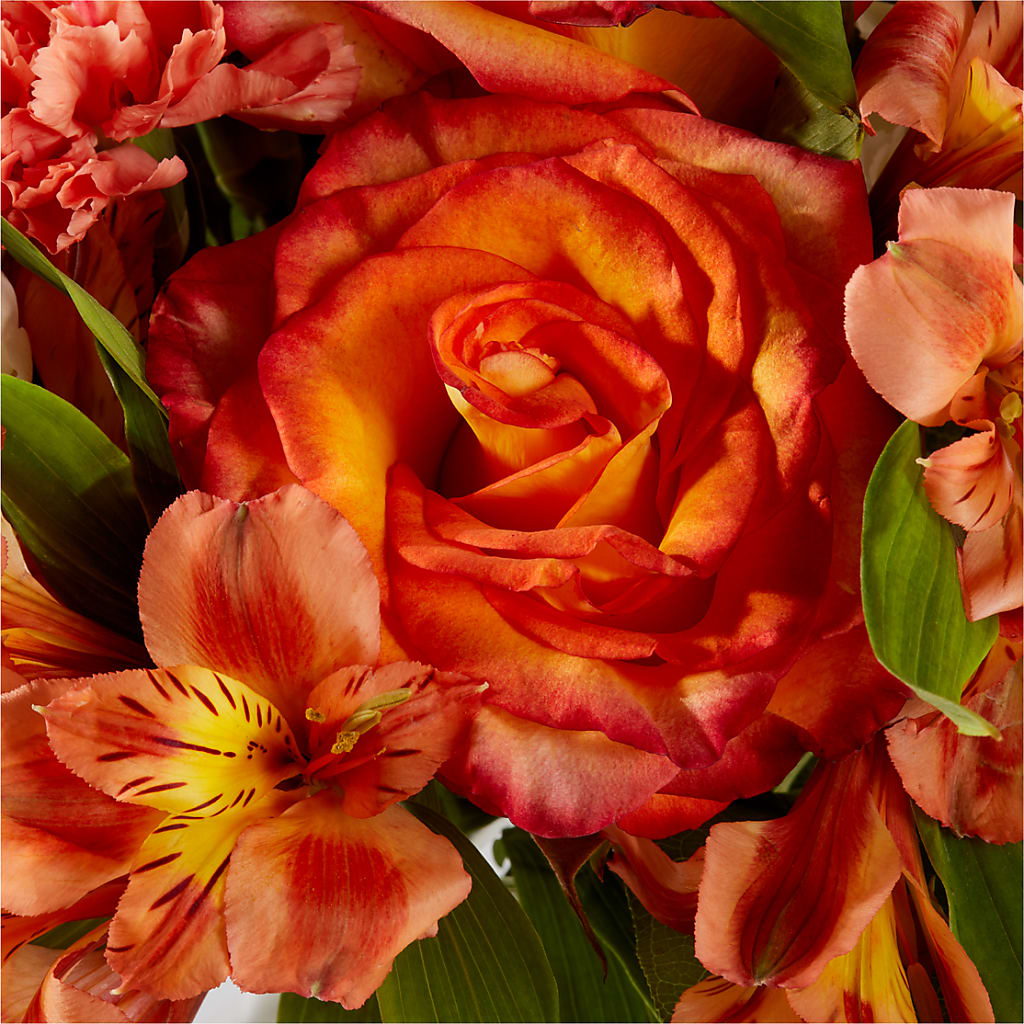 Apricot Glow Bouquet – SHINKLES' FLOWER SHOP & GREENHOUSE, Temperance MI