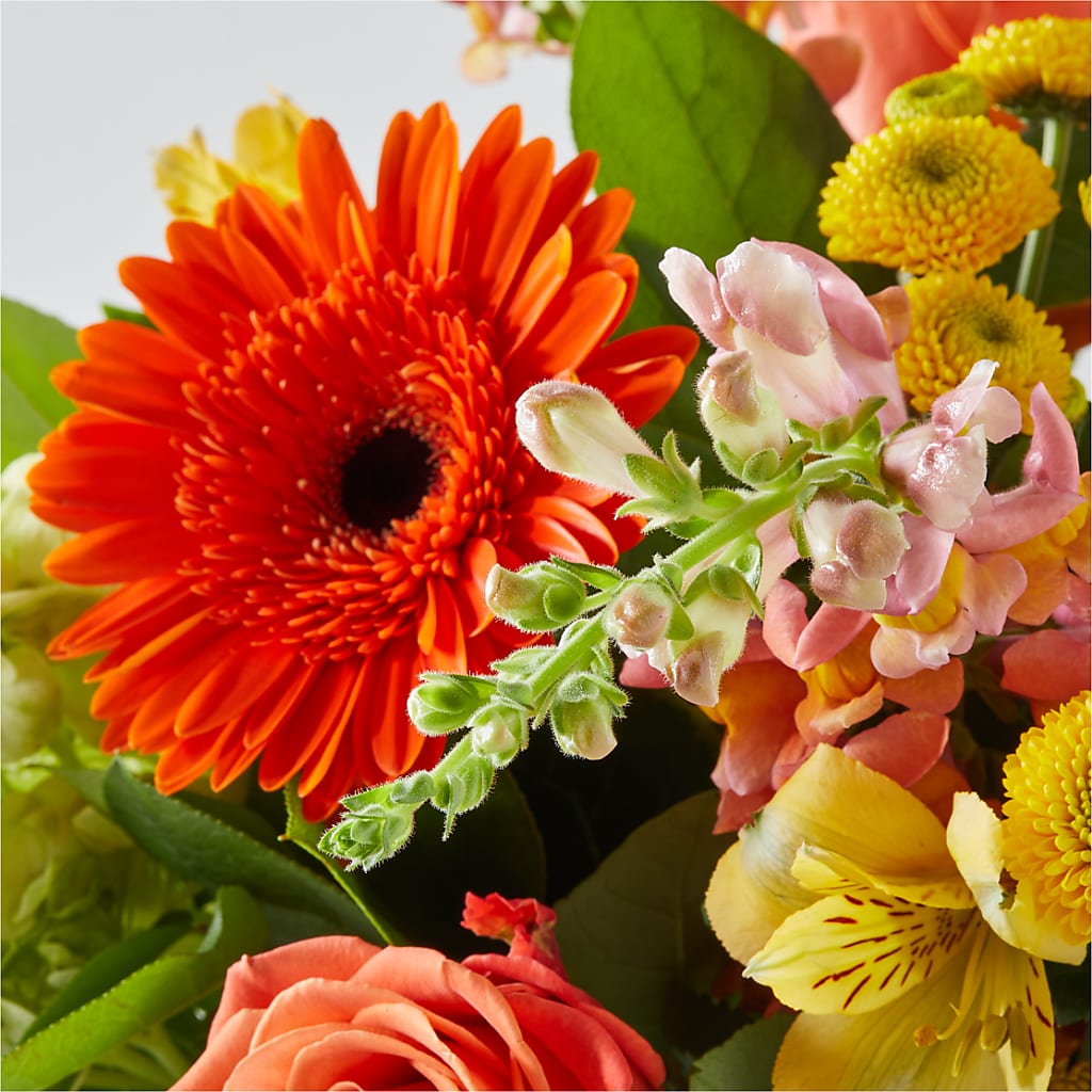 Autumn Sunshine Bouquet – SHINKLES' FLOWER SHOP & GREENHOUSE, Temperance MI