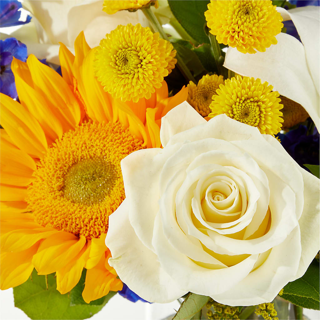 Stargazing Bouquet – SHINKLES' FLOWER SHOP & GREENHOUSE, Temperance MI