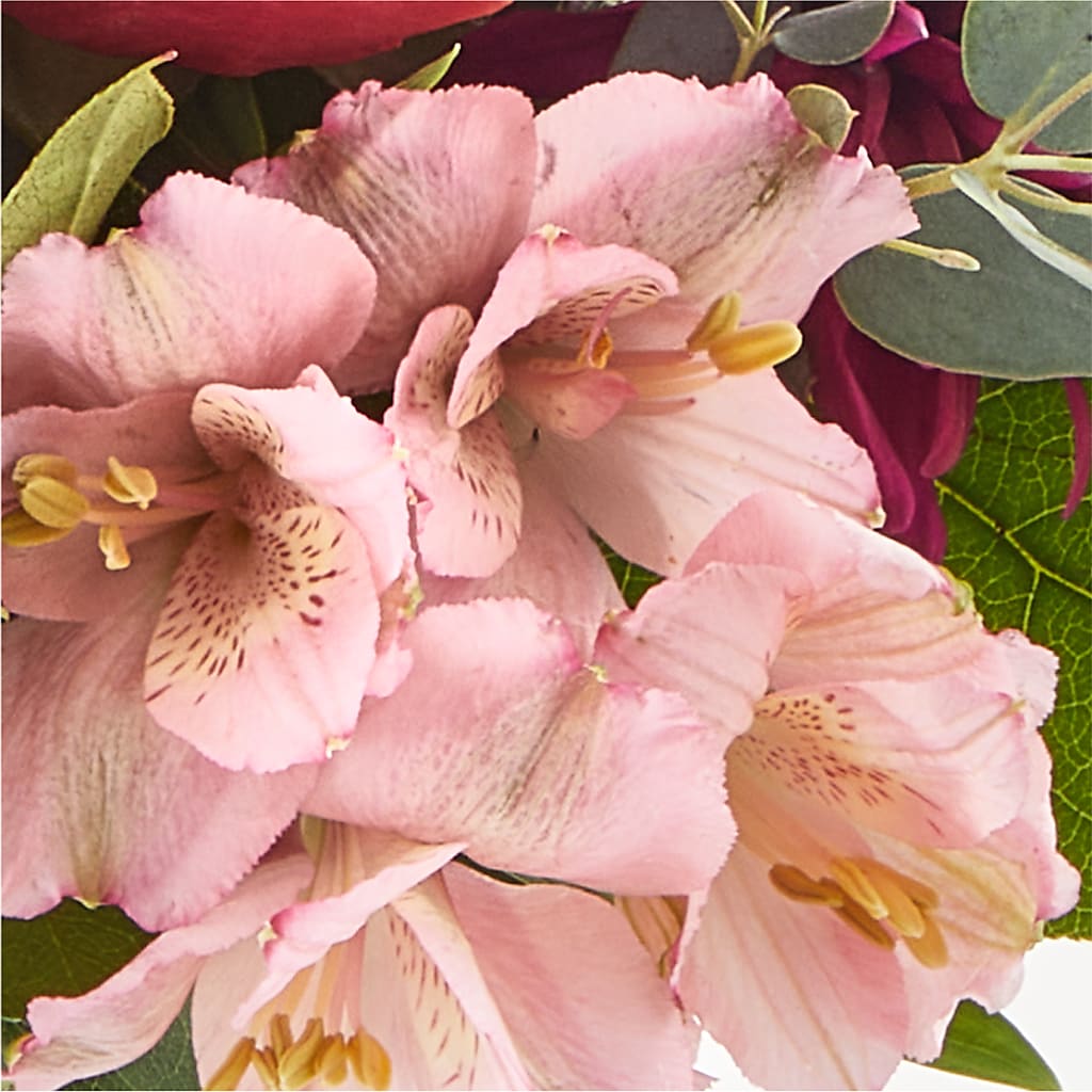 Berry Cobbler Bouquet – SHINKLES' FLOWER SHOP & GREENHOUSE, Temperance MI