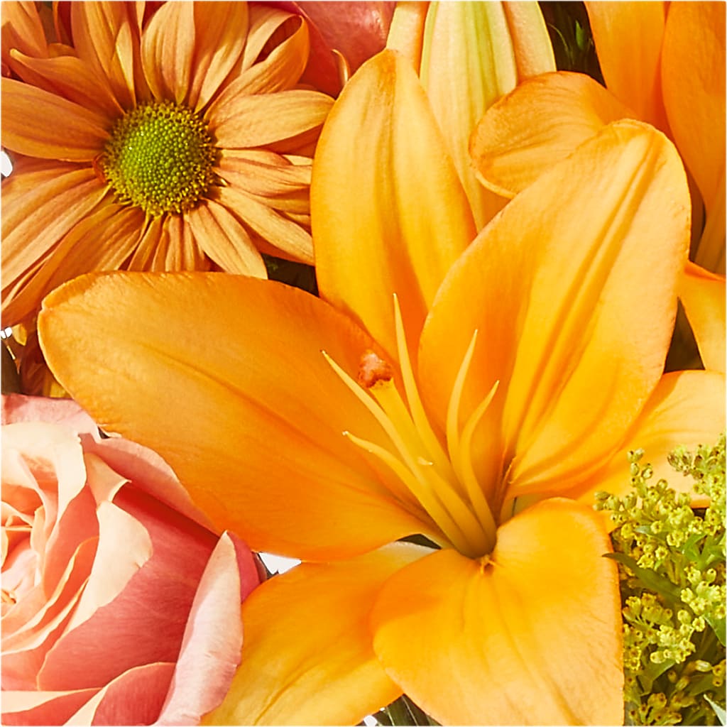 Harvest Hayride Bouquet – SHINKLES' FLOWER SHOP & GREENHOUSE, Temperance MI