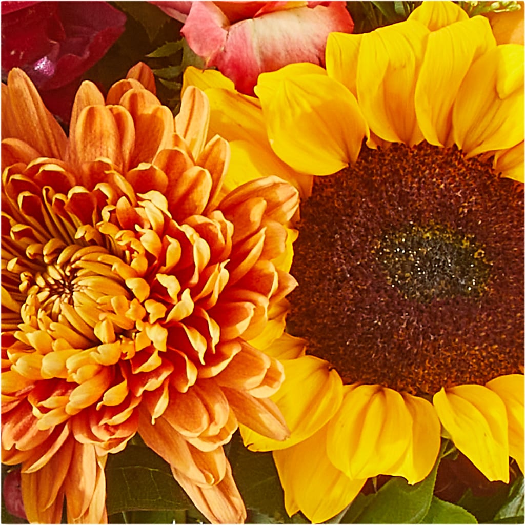 Seasons Change Bouquet – SHINKLES' FLOWER SHOP & GREENHOUSE, Temperance MI