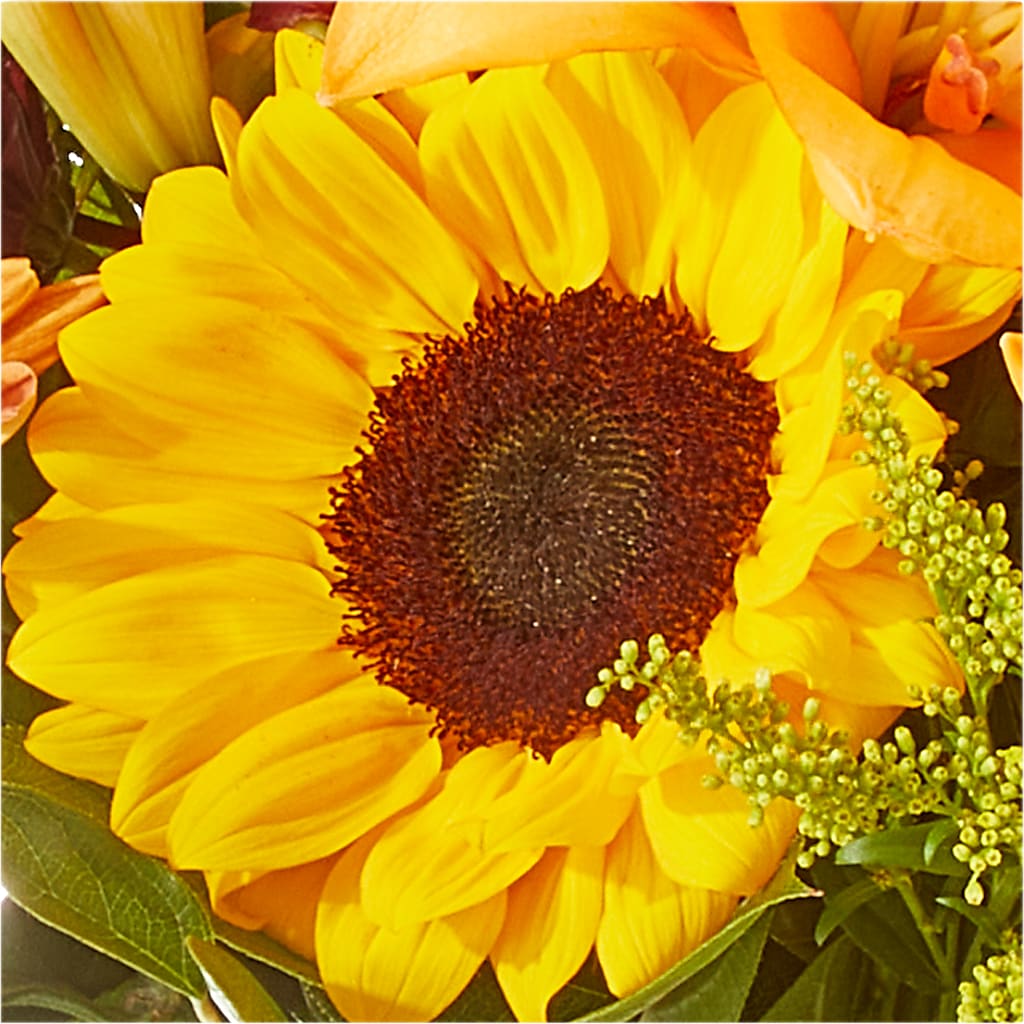 Seasons Change Bouquet – SHINKLES' FLOWER SHOP & GREENHOUSE, Temperance MI