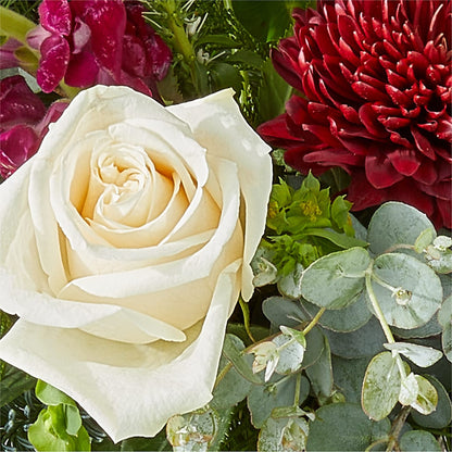 Cranberry Fizz Bouquet – SHINKLES' FLOWER SHOP & GREENHOUSE, Temperance MI