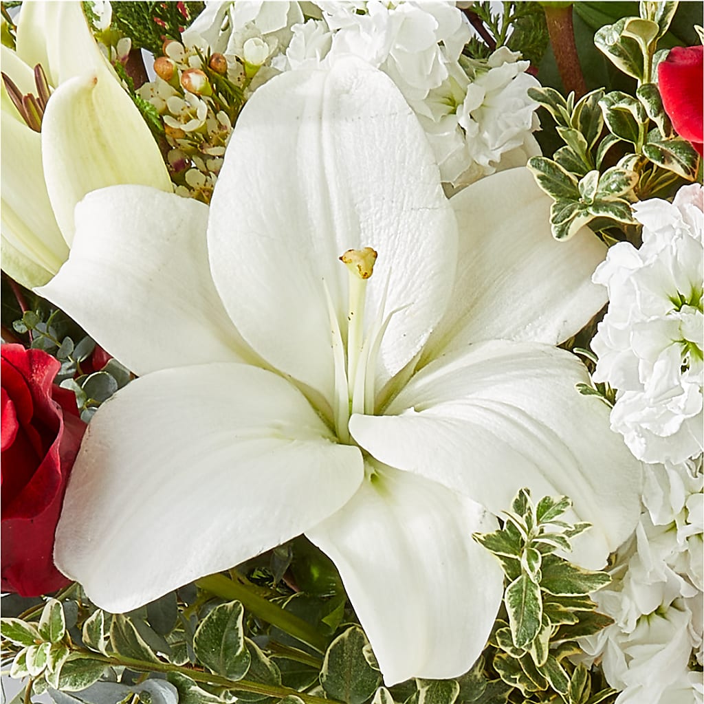 Twinkle Lights Bouquet – SHINKLES' FLOWER SHOP & GREENHOUSE, Temperance MI