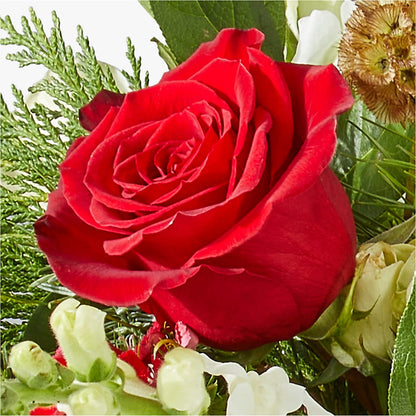 Deck the Halls Bouquet – SHINKLES' FLOWER SHOP & GREENHOUSE, Temperance MI