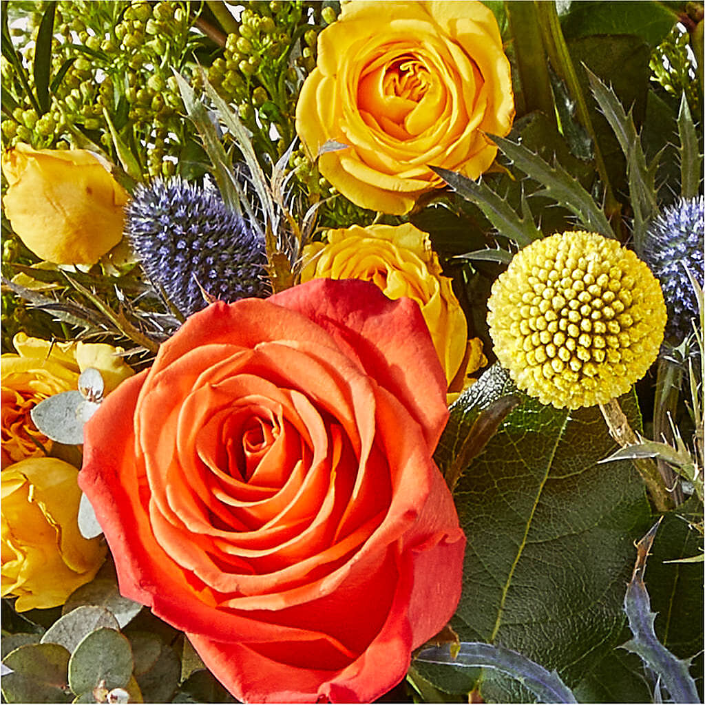 Disco Bouquet – SHINKLES' FLOWER SHOP & GREENHOUSE, Temperance MI