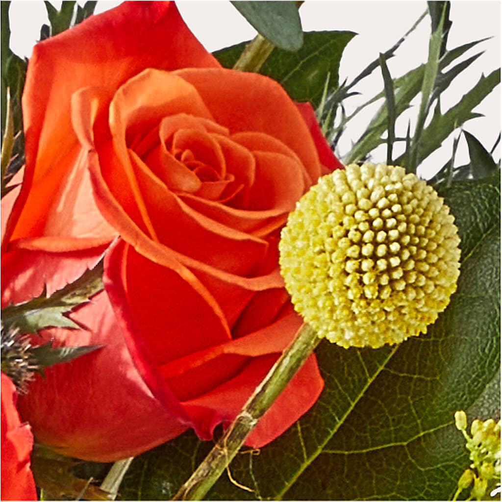 Disco Bouquet – SHINKLES' FLOWER SHOP & GREENHOUSE, Temperance MI