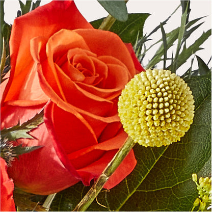 Disco Bouquet – SHINKLES' FLOWER SHOP & GREENHOUSE, Temperance MI