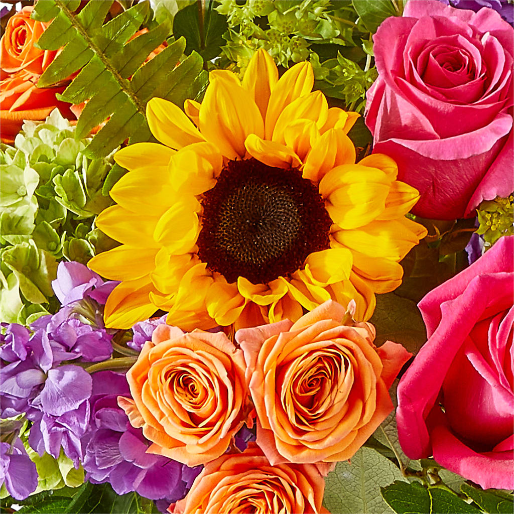 Vibrant Greetings Bouquet – SHINKLES' FLOWER SHOP & GREENHOUSE, Temperance MI