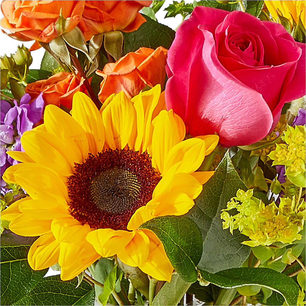Vibrant Greetings Bouquet – SHINKLES' FLOWER SHOP & GREENHOUSE, Temperance MI