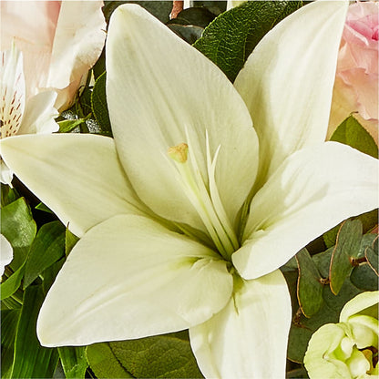 Ballet Slippers Bouquet – SHINKLES' FLOWER SHOP & GREENHOUSE, Temperance MI