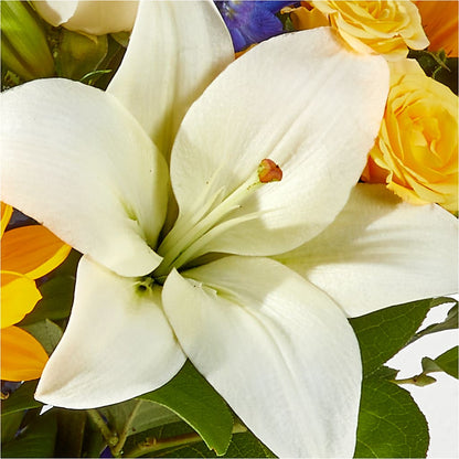 Wonderfully Sunny Bouquet – SHINKLES' FLOWER SHOP & GREENHOUSE, Temperance MI