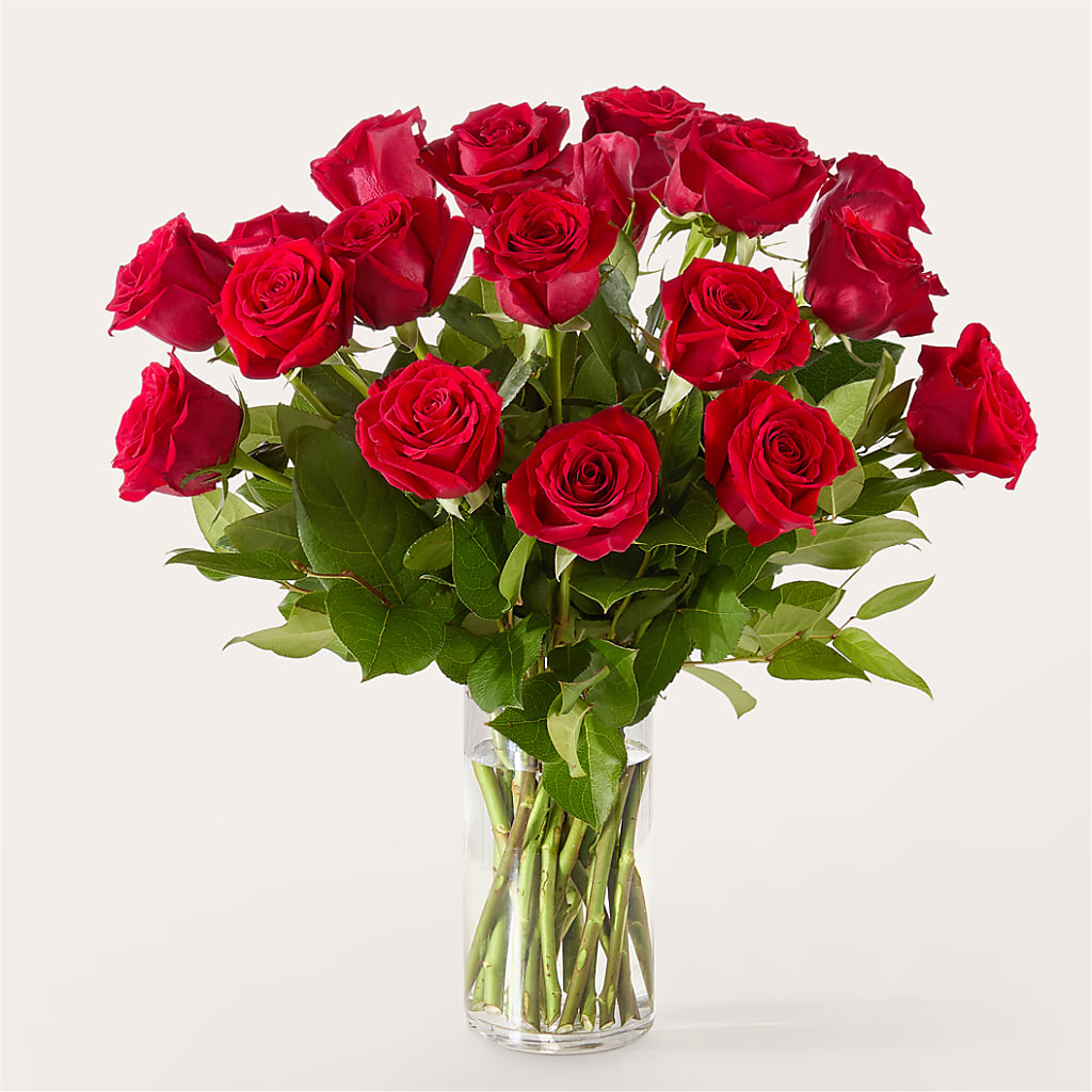 The One Red Rose Bouquet – SHINKLES' FLOWER SHOP & GREENHOUSE, Temperance MI