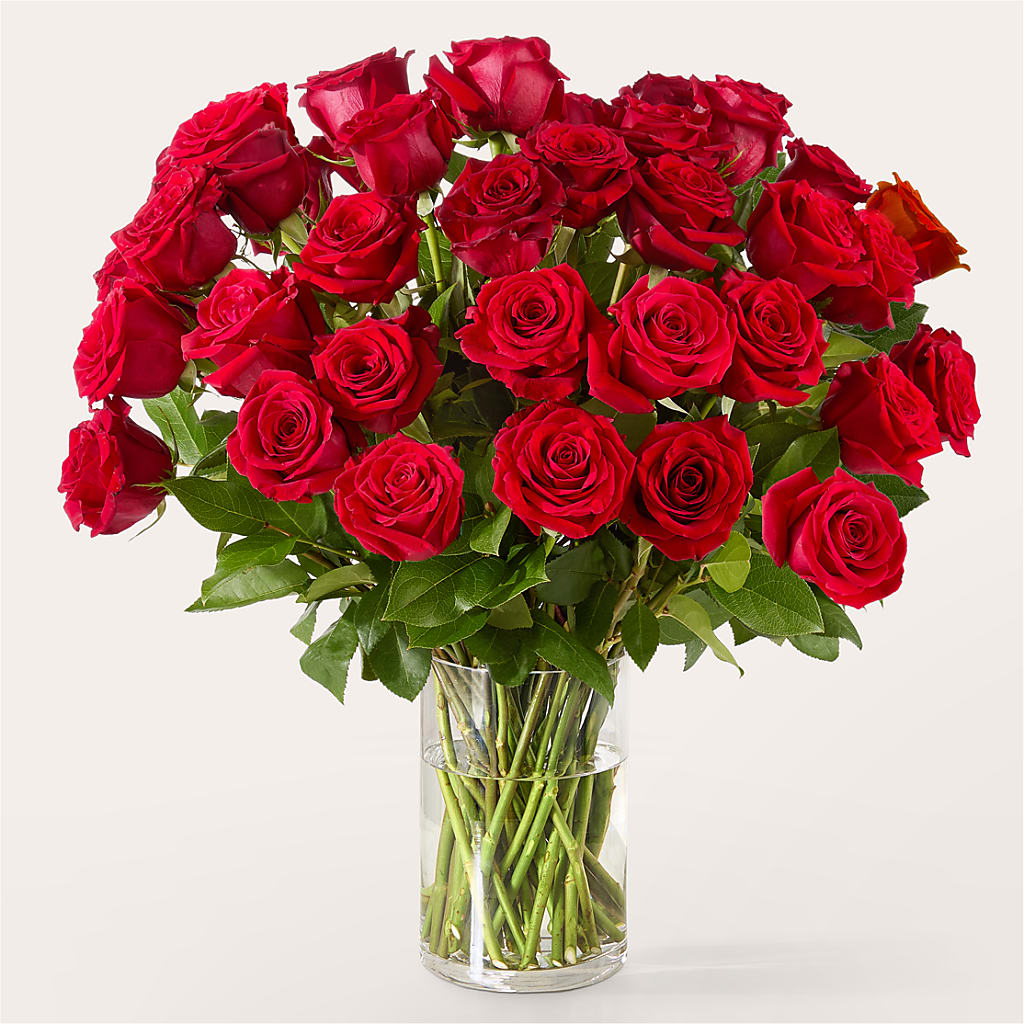 The One Red Rose Bouquet – SHINKLES' FLOWER SHOP & GREENHOUSE, Temperance MI
