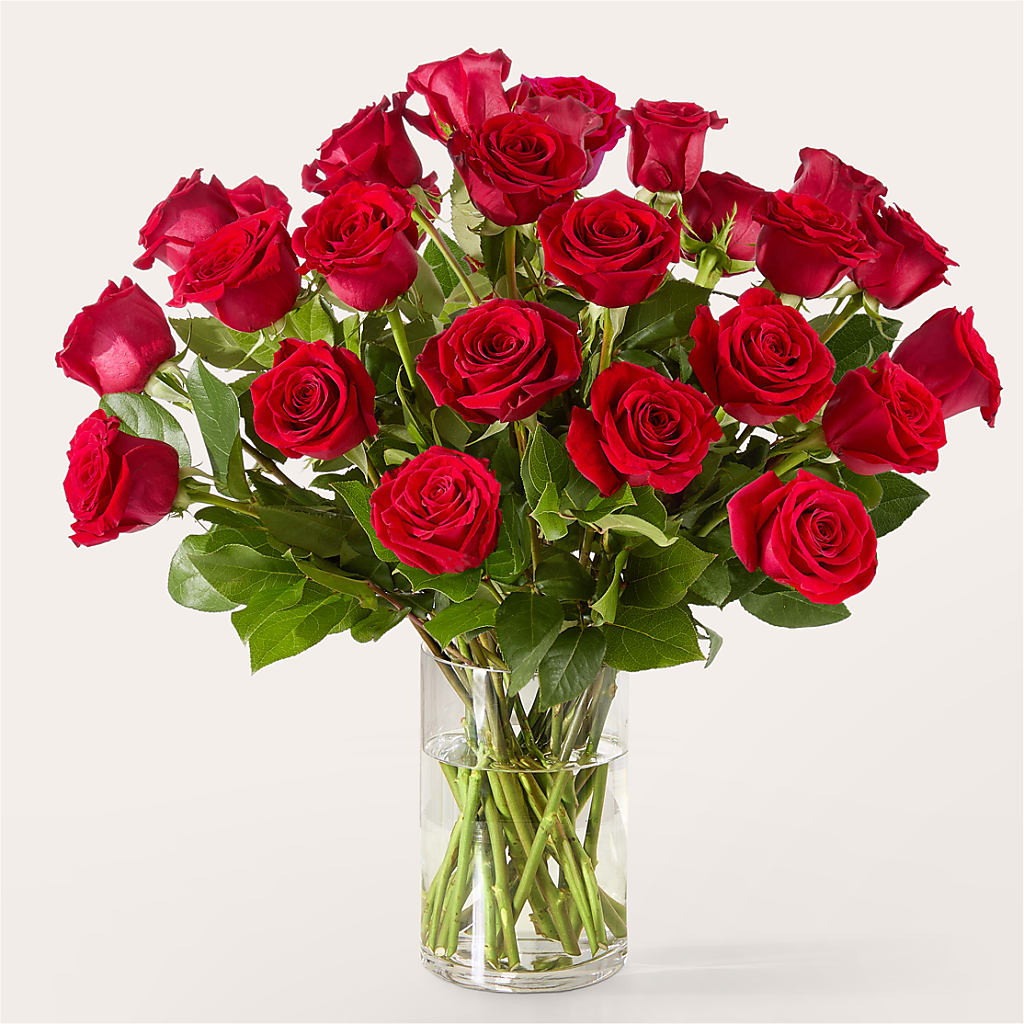 The One Red Rose Bouquet – SHINKLES' FLOWER SHOP & GREENHOUSE, Temperance MI