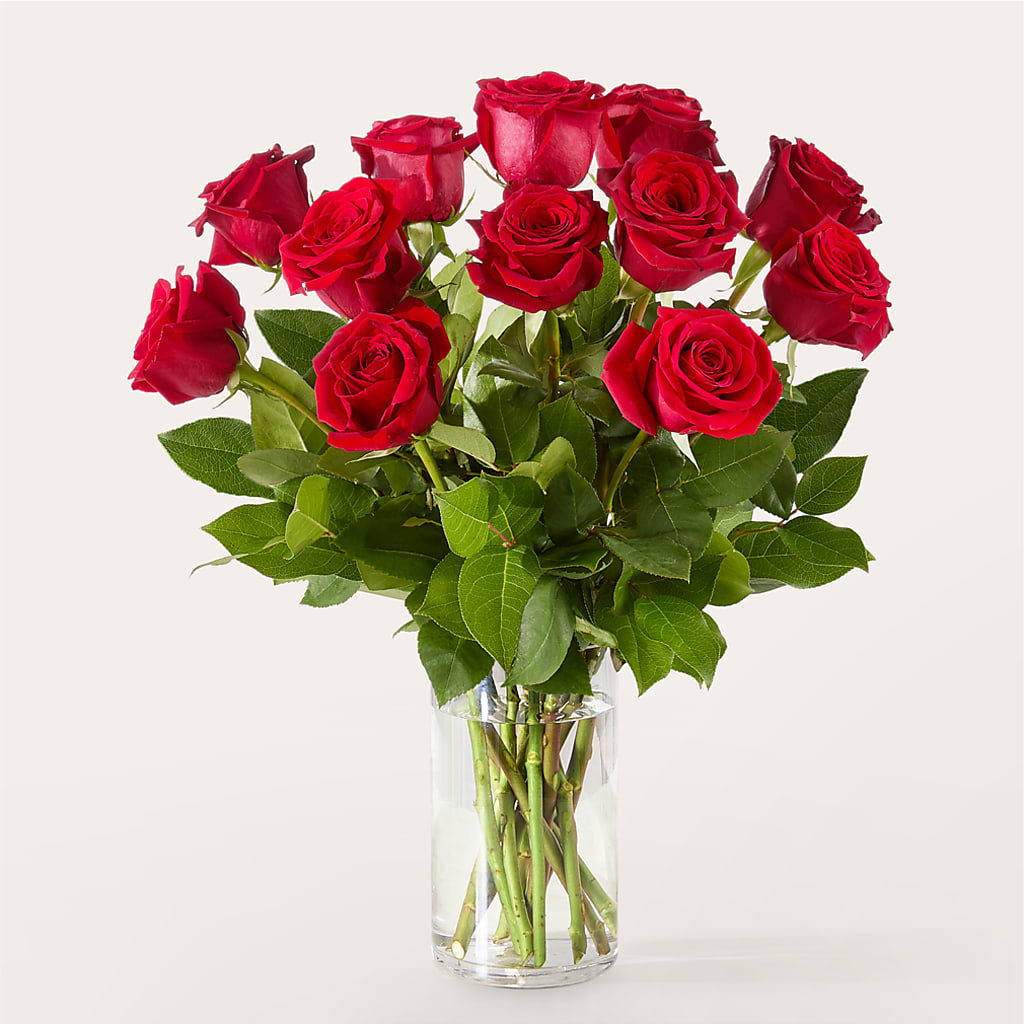 The One Red Rose Bouquet – SHINKLES' FLOWER SHOP & GREENHOUSE, Temperance MI