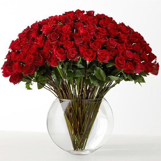 The Idealist – SHINKLES' FLOWER SHOP & GREENHOUSE, Temperance MI