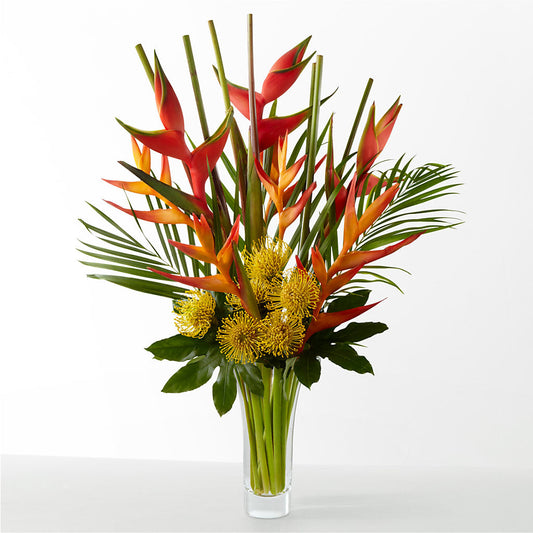 The Drama – SHINKLES' FLOWER SHOP & GREENHOUSE, Temperance MI
