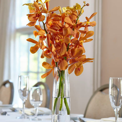 Orange Mokara Bud Vase – SHINKLES' FLOWER SHOP & GREENHOUSE, Temperance MI