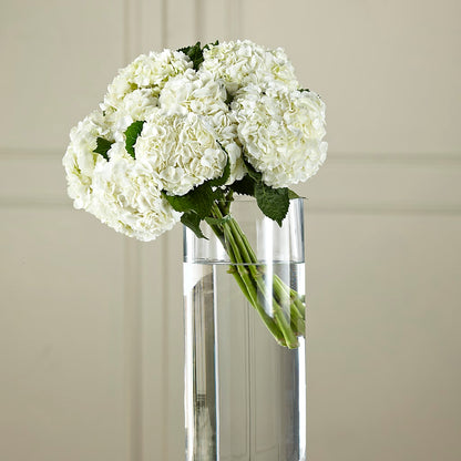 White Hydrangea Hand-Tied Bouquet – SHINKLES' FLOWER SHOP & GREENHOUSE, Temperance MI