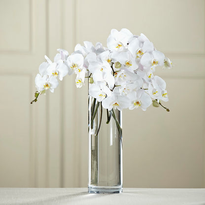 White Phalaenopsis Bouquet – SHINKLES' FLOWER SHOP & GREENHOUSE, Temperance MI