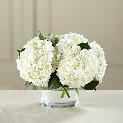 White Hydrangea Bouquet – SHINKLES' FLOWER SHOP & GREENHOUSE, Temperance MI