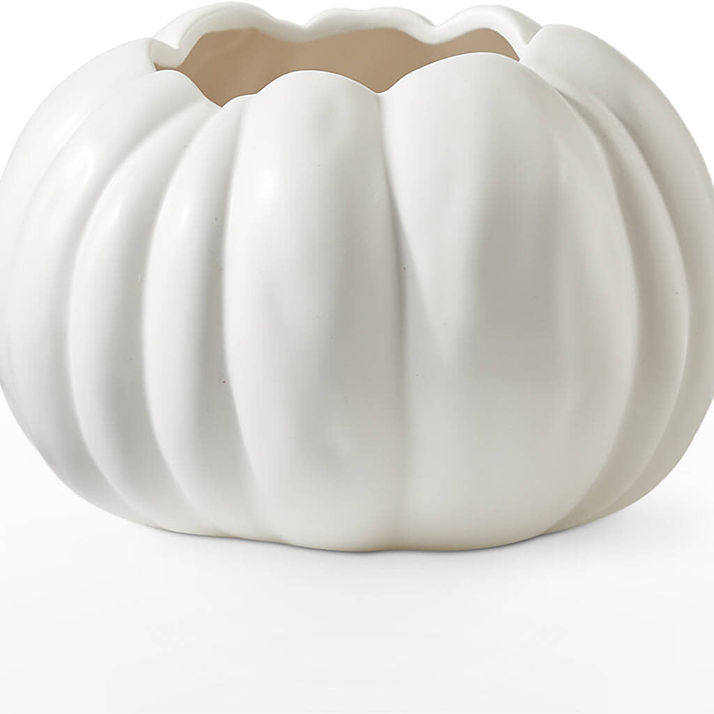 Autumn Air Pumpkin Bouquet – SHINKLES' FLOWER SHOP & GREENHOUSE, Temperance MI
